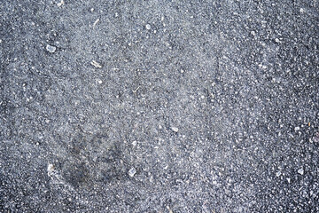 Small dog foot print on a snow surface. Paw trail on a frost. Winter season concept
