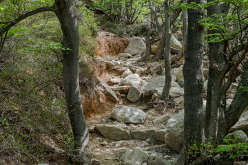 Torres del Paine, Chile 