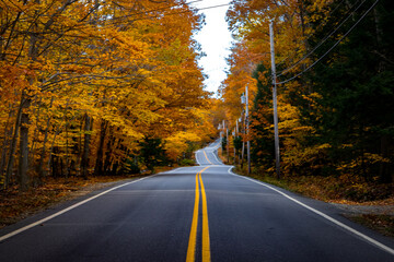 Road In New England Fall Foliage