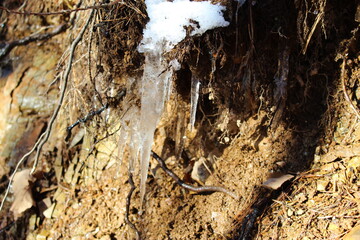 Icicles under the snow that are in the sun and that the melt. Snow and icicles melt in the sun.
