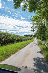 Fototapeta na wymiar Summer road in the countryside