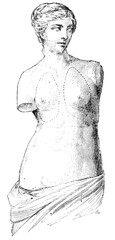 Venus de Milo - the most famous works of ancient Greek sculpture. The dotted lines show the location of the lungs. Illustration of the 19th century. Germany. White background.