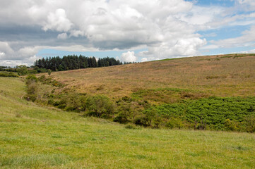 Fototapeta premium landscape in the mountains