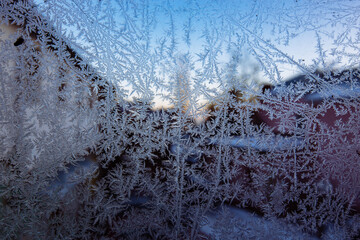 Frozen glass. Frost patterns on window pane