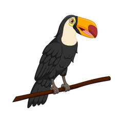 Cute toucan bird on a tree branch