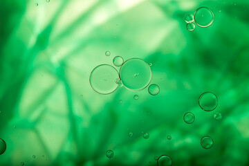 Oil drops on a water surface. Abstract and background. Green  background