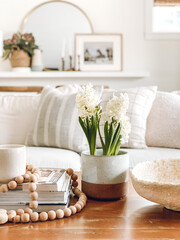 Obraz na płótnie Canvas Interior still life in a brightdid century, bohemian living room featuring white hyacinths on a coffee table.
