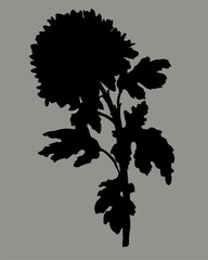 Black silhouette of hand drawn Chrysanthemum flower, stem and leaves isolated on gray. Vector monochrome freehand sketch. Design element for created hand drawn greeting card, poster, package.