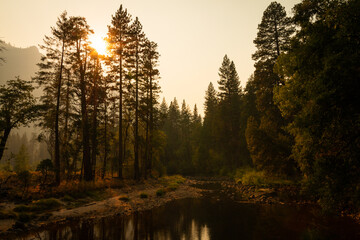 Autumn sunset over trees by Merced River, Yosemite