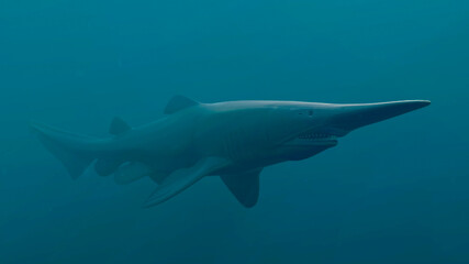 Goblin Shark (Mitsukurina owstoni), 3D rendered