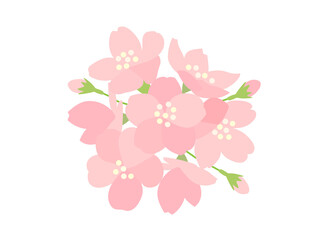 桜104　さくら　花
