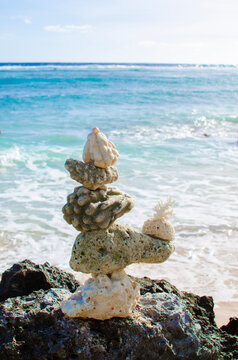 stacked sea shells on the beach