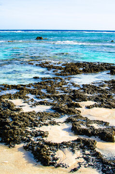 rocky beach