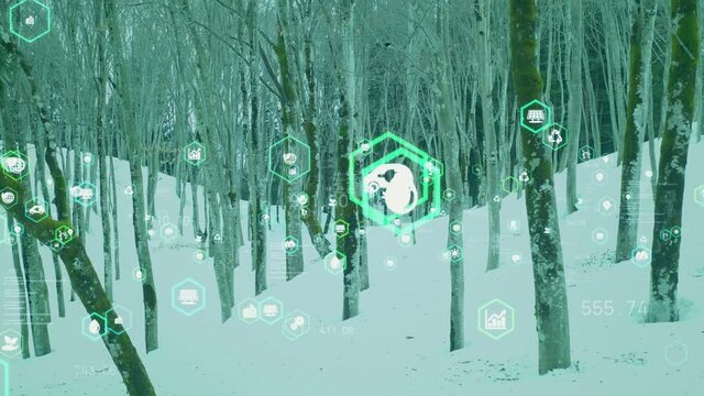 環境イメージ　荒廃した自然　サステナブル　SDGs