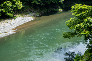 Naklejka premium 風景素材 爽やかな初夏の清流