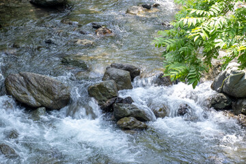 Fototapeta premium 風景素材 初夏の山間の清流