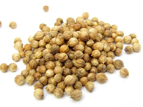 dried coriander seeds isolated on white background