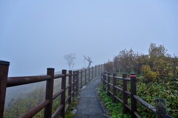 Fototapeta na wymiar 霧に包まれた摩周湖遊歩道の情景＠北海道