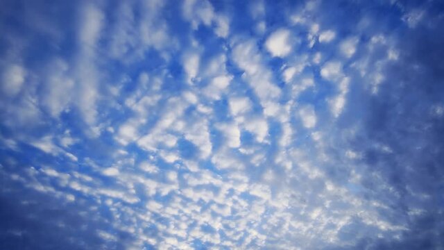 Evening sky with beautiful altocumulus clouds. Timelapse
