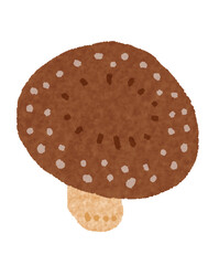 椎茸　Shiitake mushrooms　illustration