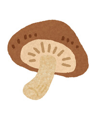 椎茸　Shiitake mushrooms