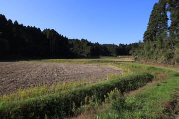 Fototapeta premium 冬の田園風景