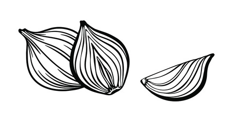 Sliced onion and whole onion bulb. Cut in a half onion. Vector sketch.