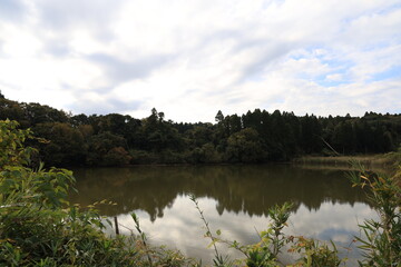 Fototapeta premium 田舎の池