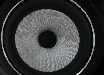 A woofer from a high-end stereo speaker.