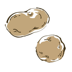 じゃがいも　野菜の手描きスケッチイラスト