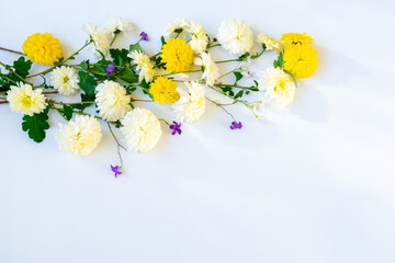 White and yellow chrysanthemums with wildflowers on a white background with copy space