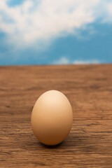 新鮮たまごのイメージ　Image photo of chicken egg 