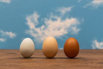 新鮮たまごのイメージ　Image photo of chicken egg 