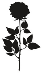 Black vector silhouette of a cut garden tea rose with thorns. Fresh blooming bud with young leaves. Flower for a bouquet. Decorative element for greeting card.