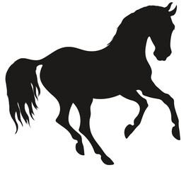 Fototapeta na wymiar Black silhouette of a galloping horse. Stallion pricked up its ears. Vector emblem for equestrian design.