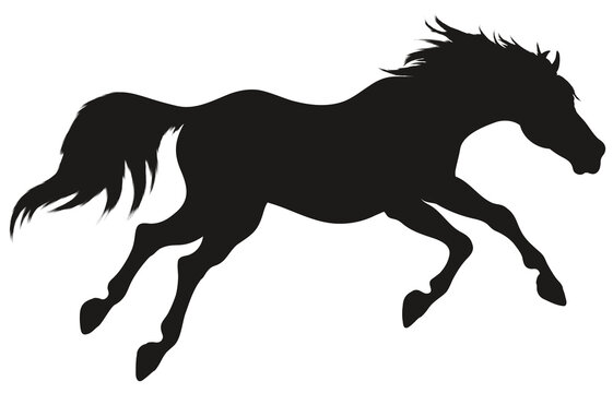Running horse with long mane. Stallion lowered its head and gallops with legs stretched out. Vector black silhouette for equestrian goods.
