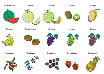 ル	カラフルフルーツセット2