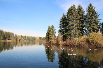 Life On  The Lake, William Hawrelak Park, Edmonton, Alberta
