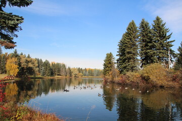 Fototapeta na wymiar October On The Lake, William Hawrelak Park, Edmonton, Alberta