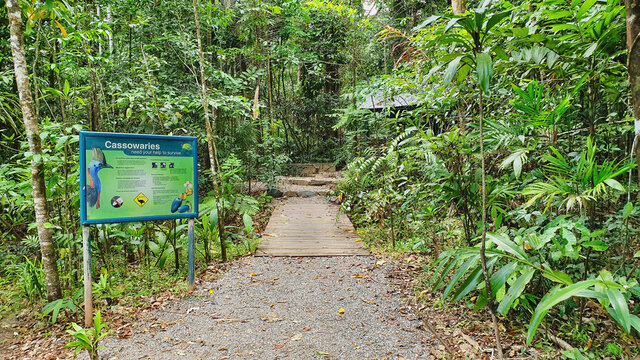Cape Tribulation east Queensland