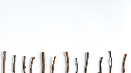 Horizontal composition of various dry pine branches on a white background. Top view, flat lay, copy space.