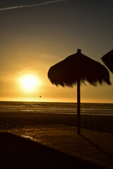 EL TABO. CHILE - JANUARY 27TH, 2021: Sun umbrella and a seagull flying on the sea in a beautiful sunset