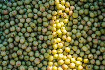 Indian gooseberries