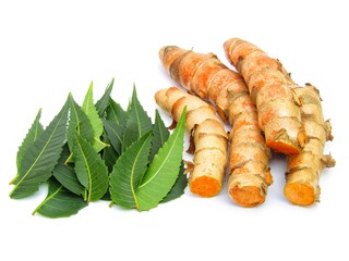 Neem leaves with turmeric roots