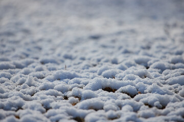 冬の朝の地面の雪景色の様子