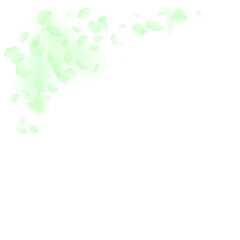 Green flower petals falling down. Mesmeric romanti