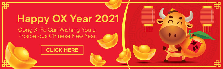 Chinese New Year 2021 with lantern banner. Cartoon cute Ox holding big tangerine orange with gold ingot falling down
