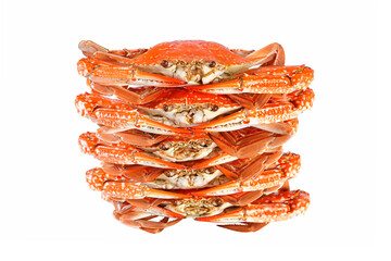 Steamed blue crab cooked in red, orange with isolated on white background