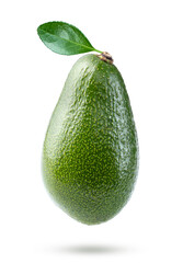 Avocado fruit with leaf isolated white background