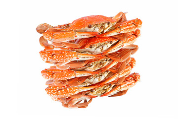 Steamed blue crab cooked in red, orange with isolated on white background